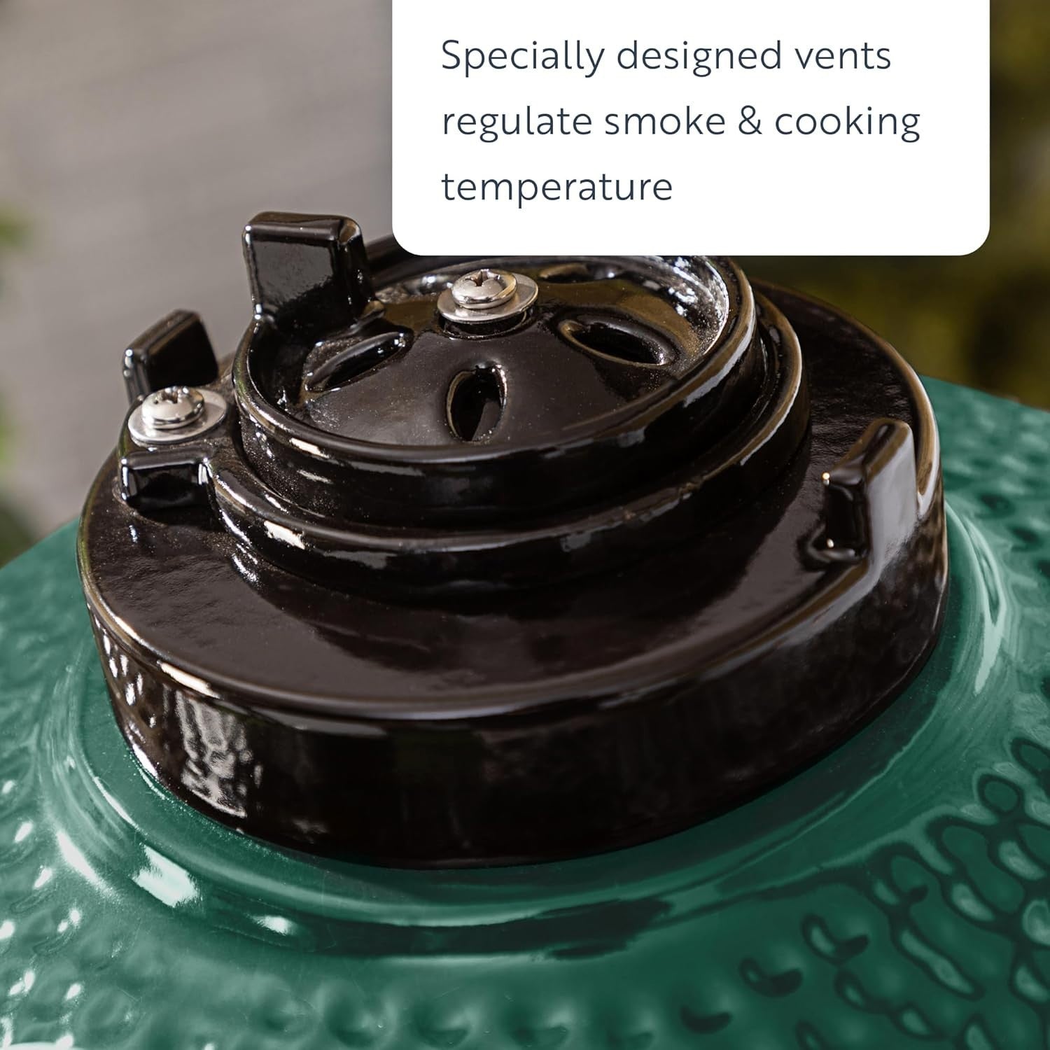 Ceramic Charcoal BBQ Grill with Stand & Cover – Green Kamado Egg Smoker