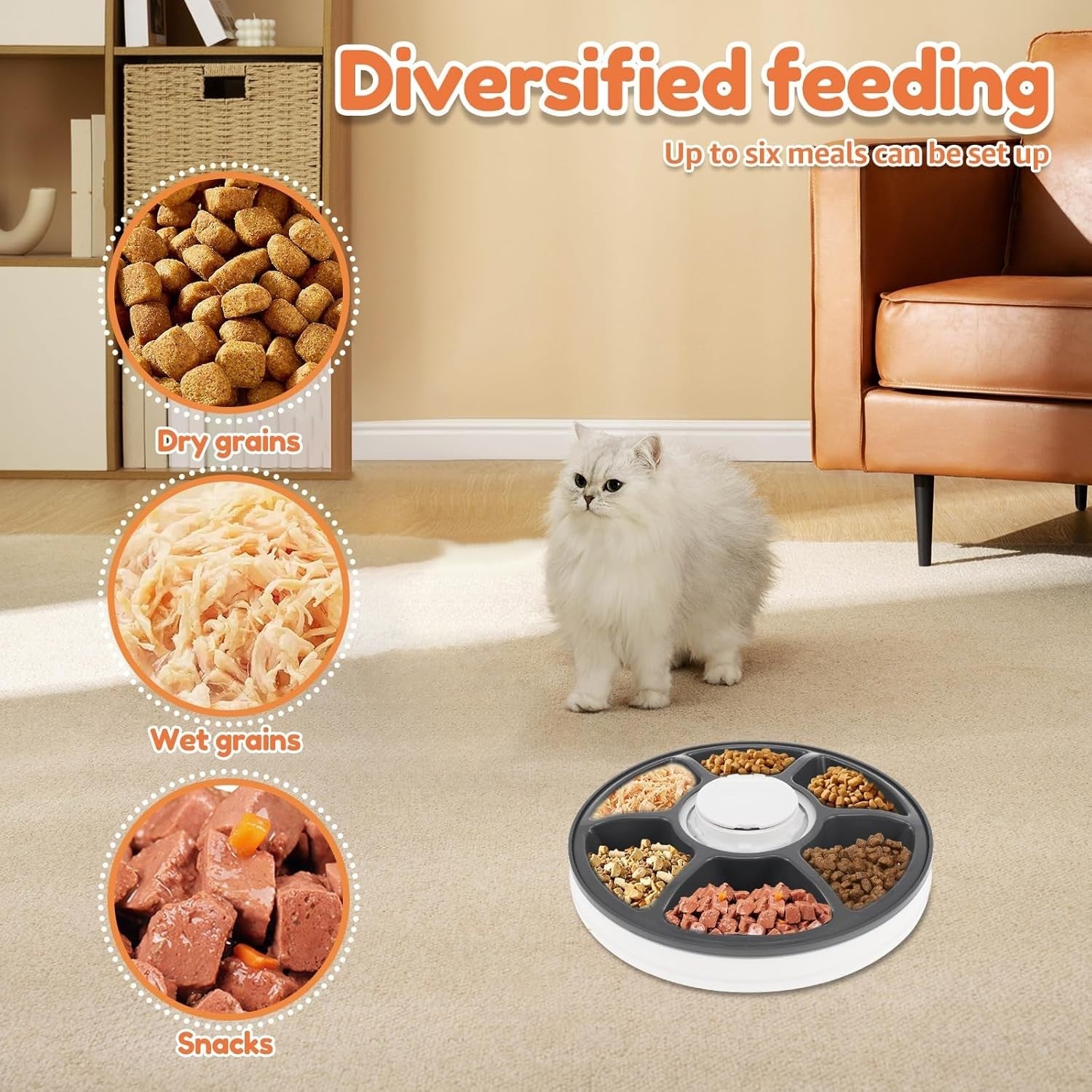 6 Meal Pet Feeder Timer Wet Dry Food Dispenser Cordless Battery Powered