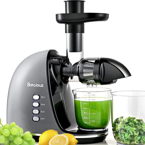 Cold Press Juicer Slow Masticating 2 Speed Quiet Reverse BPA Free