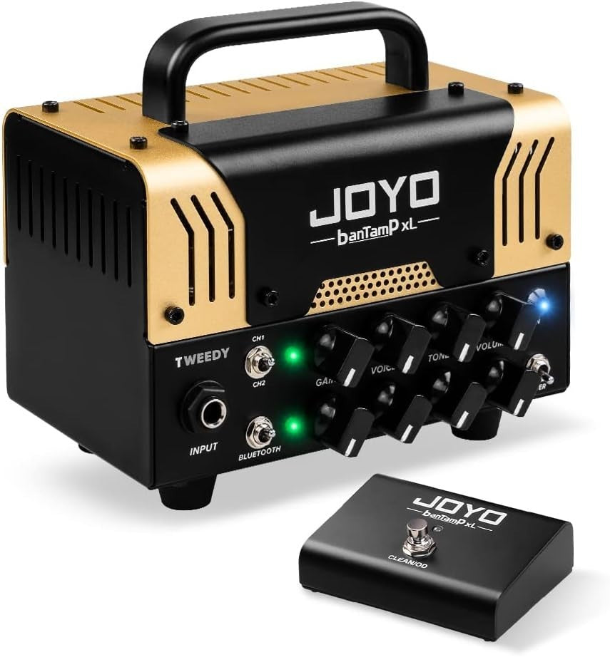 20W Hybrid Tube Guitar Amp Head 2-Channel Bluetooth FX Loop
