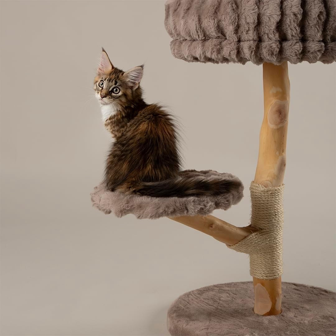Luxury Cat Scratching Tree Plush Bed Sisal Post Compact Climbing Tower