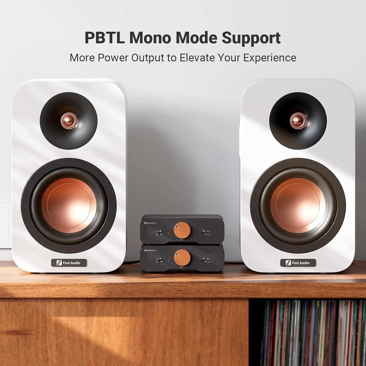 Mini HiFi Stereo Mono Amplifier 235W TPA3255 XLR RCA 48V