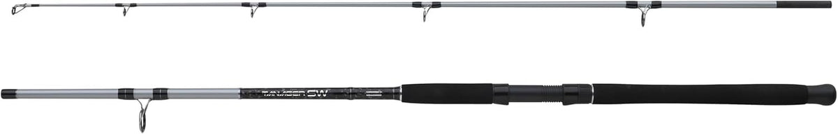 Heavy Duty Saltwater Fishing Rod – Boat, Pier & Offshore Angling