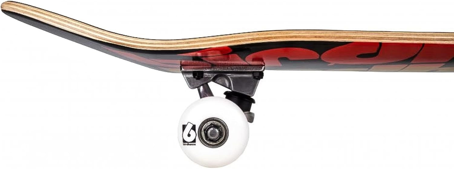 Stage 1 Triple Stack Complete Skateboard 8" Rasta Adult Deck