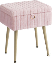 Jelly Pink Vanity Stool with Storage Plush Seat Ottoman Rectangular Chair