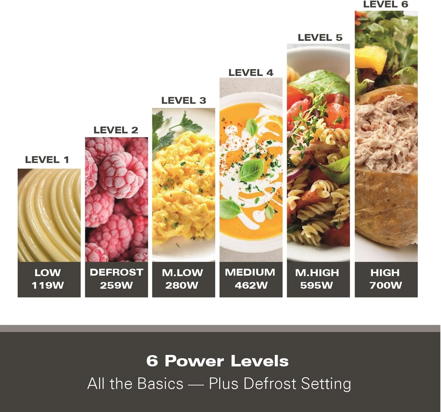 20L 700W Manual Microwave Oven 5 Power Levels Defrost Timer