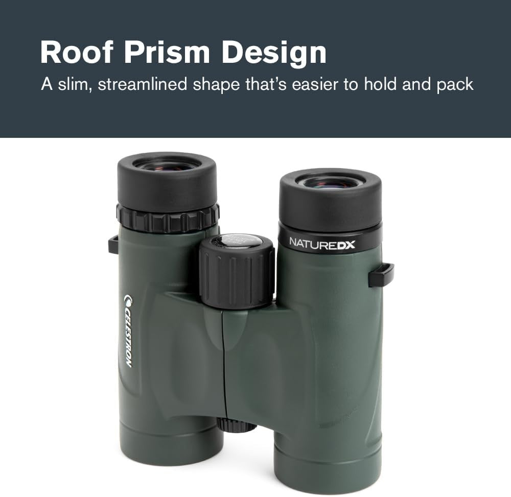 10x32 Waterproof Binoculars HD Compact Birdwatching Travel Outdoor Viewing