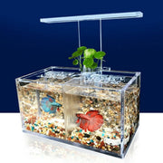 Mini Acrylic Fish Tank with LED Light & Water Pump Desktop Aquarium