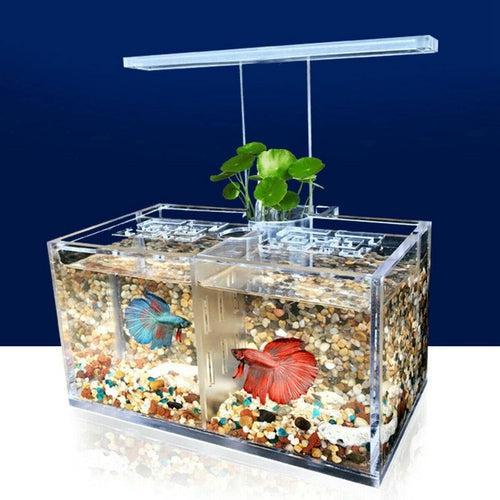 Mini Acrylic Fish Tank with LED Light & Water Pump Desktop Aquarium