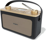 Black Gold DAB DAB+ FM Bluetooth Portable Radio Dual Alarm Leather Style