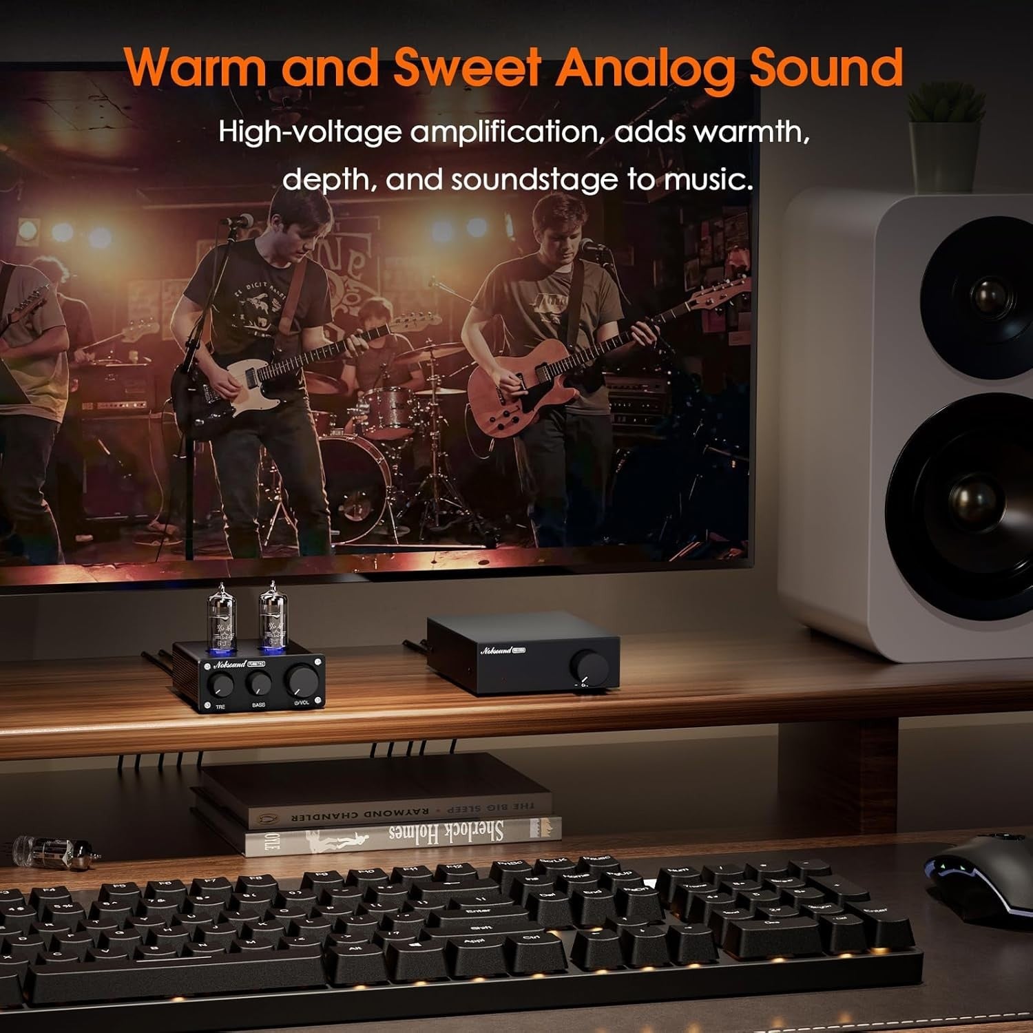 Mini Tube Preamp Class A Stereo Audio Amplifier Bass Treble Control