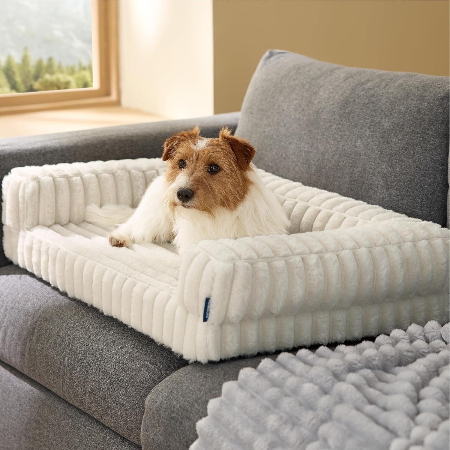 Medium Orthopedic Dog Sofa Bed 76x51x16cm Waterproof Memory Foam