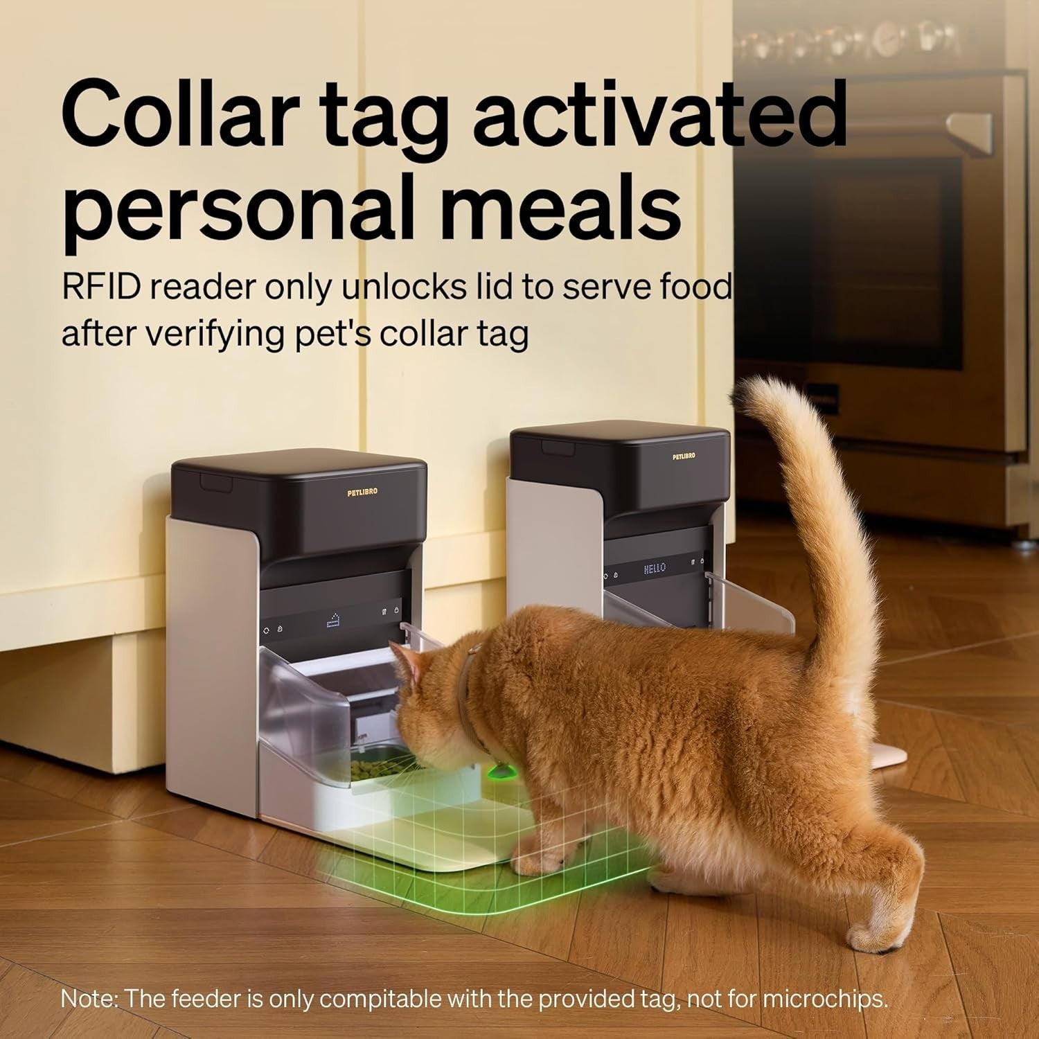 RFID Automatic Cat Feeder WiFi App Control 3L Smart Pet Food Station