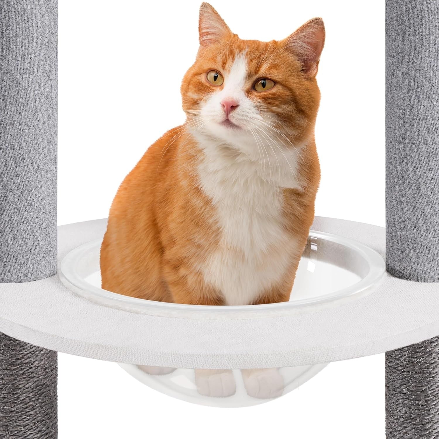 Floor to Ceiling Cat Tree Tower 6 Tier Adjustable 241–262cm Scratching Post