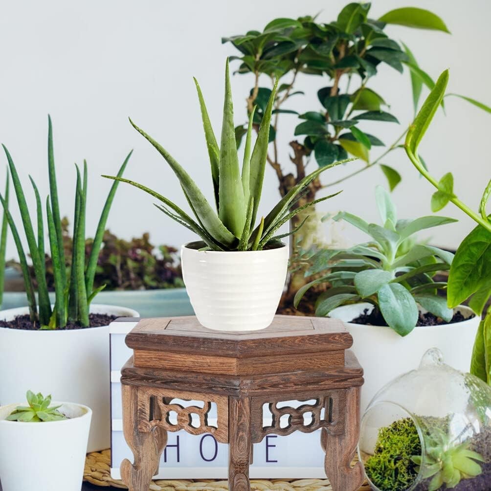 Wood Plant Stand Oriental Pedestal Display Table Vase Base Antique Decor