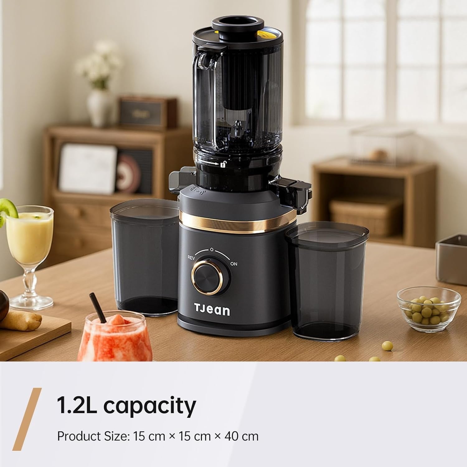 Cold Press Juicer Whole Fruit Slow Masticating 110mm Chute 150W