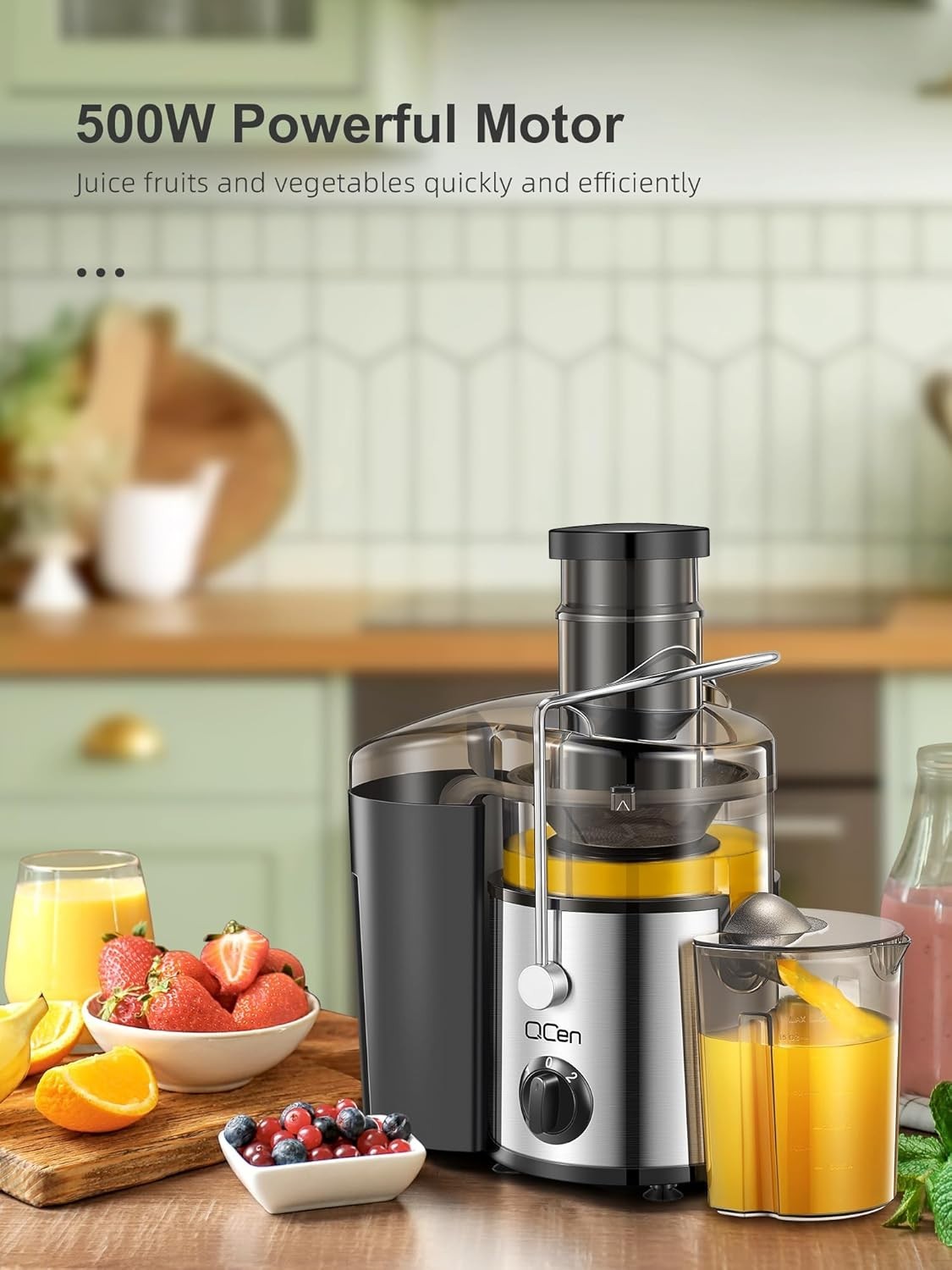 500W Centrifugal Juicer 3in Wide Mouth Dual Speed Stainless Steel