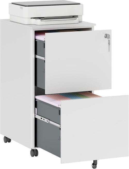 White 2 Drawer Lockable File Cabinet 37x43.5x67.5cm Steel
