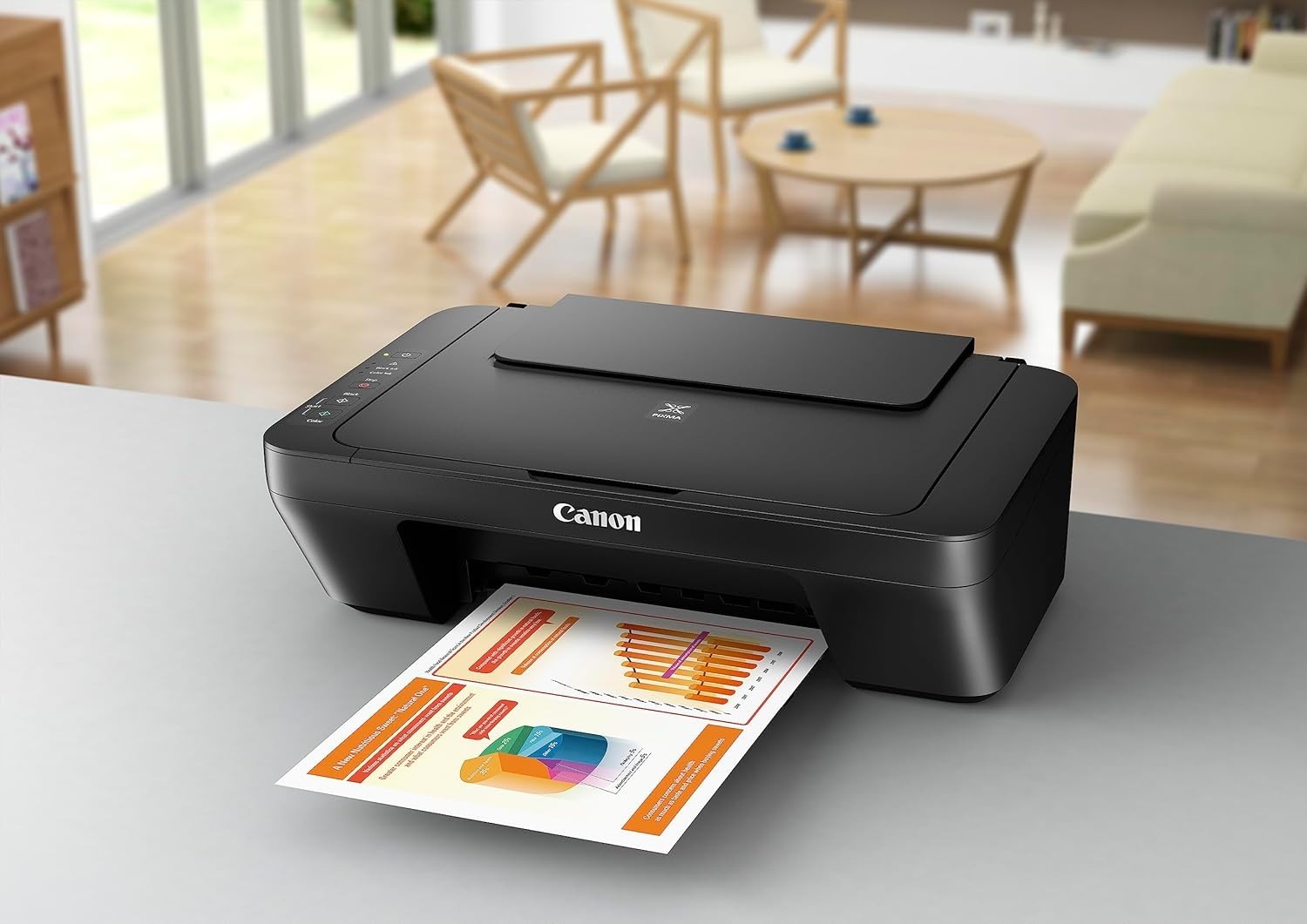 A4 Colour All-in-One Printer USB Copy Scan MG2550S