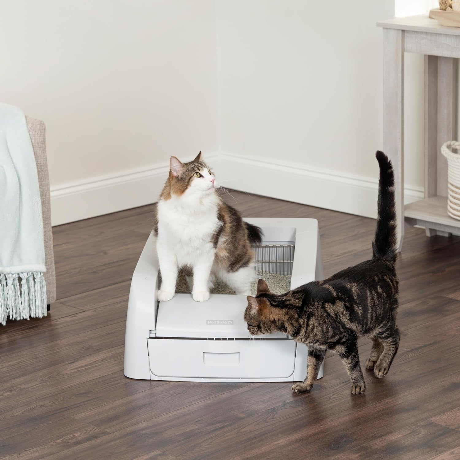 Self Cleaning Cat Litter Box Automatic Rake Odor Control Multi Cat