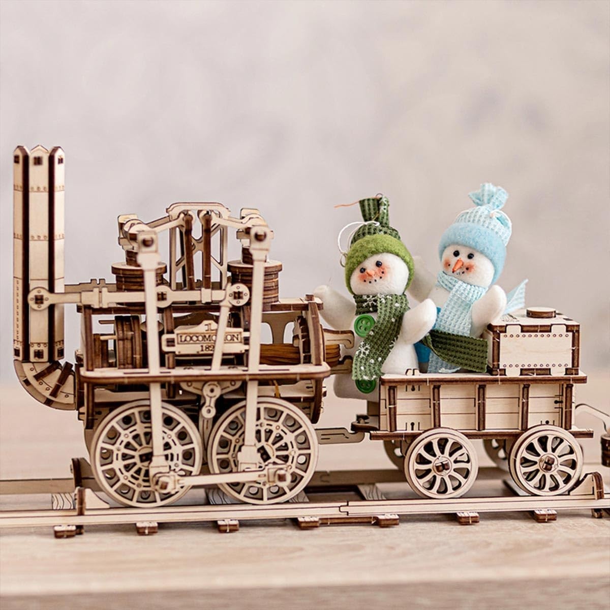 325PCS 3D Wooden Steam Train Puzzle Kit – DIY Mechanical Model Gift