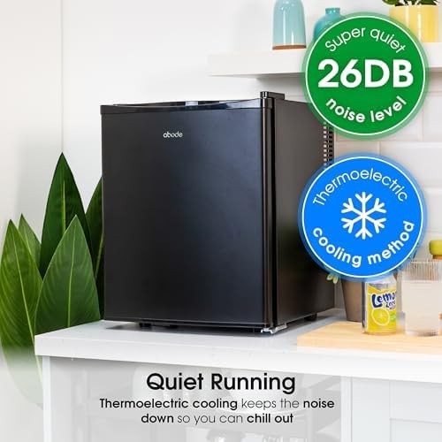 25L Mini Fridge Thermoelectric Quiet Portable for Bedroom Home Black