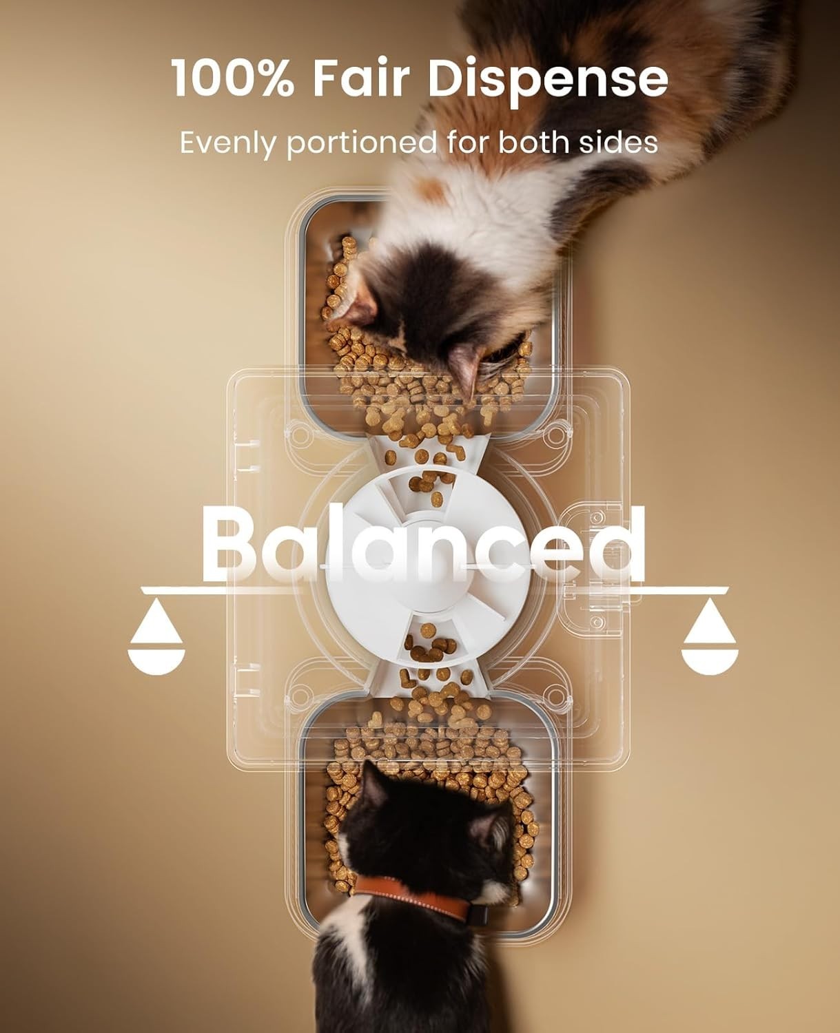 Dual Cat Feeder 5L Timed Food Dispenser Portion Control 2 Bowl