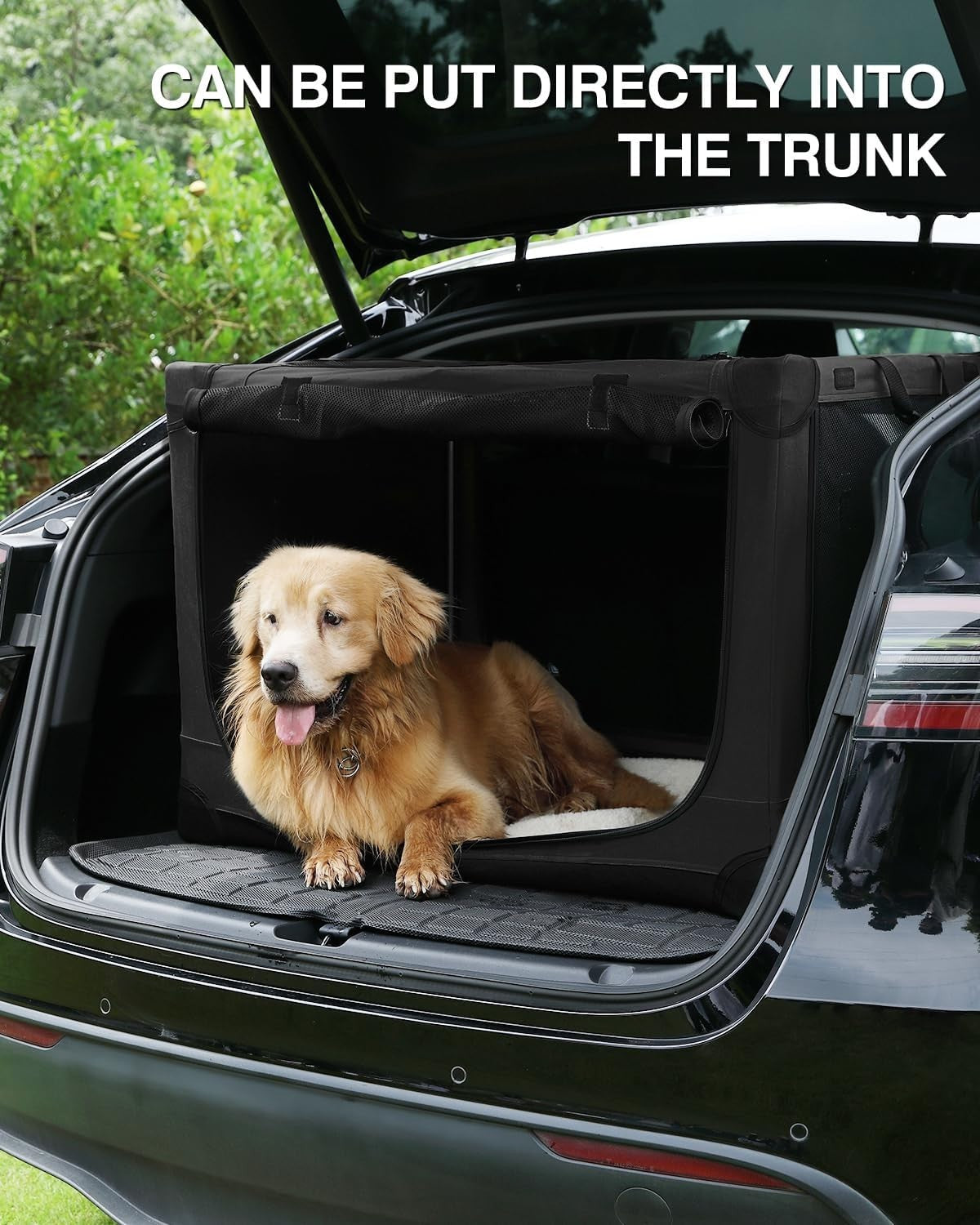 Medium Portable Collapsible Dog Crate Soft Kennel with Mesh Windows & Mat
