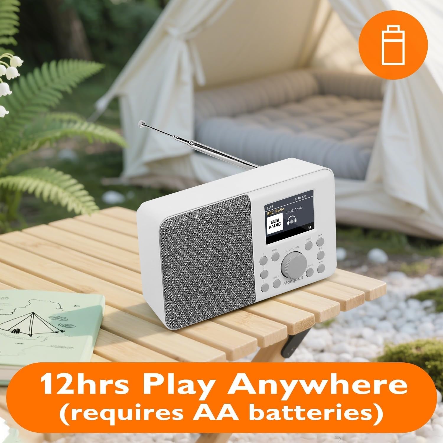 DAB DAB+ Digital Radio Bluetooth Portable Alarm Colour Display Battery