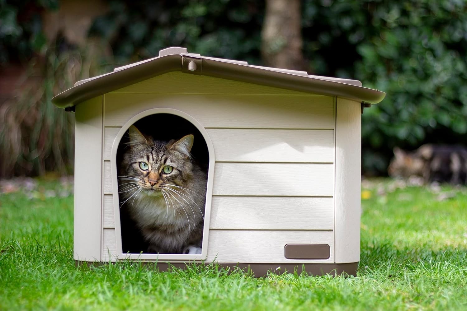Weatherproof Plastic Pet House for Dogs Cats Rabbits Indoor Outdoor Shelter