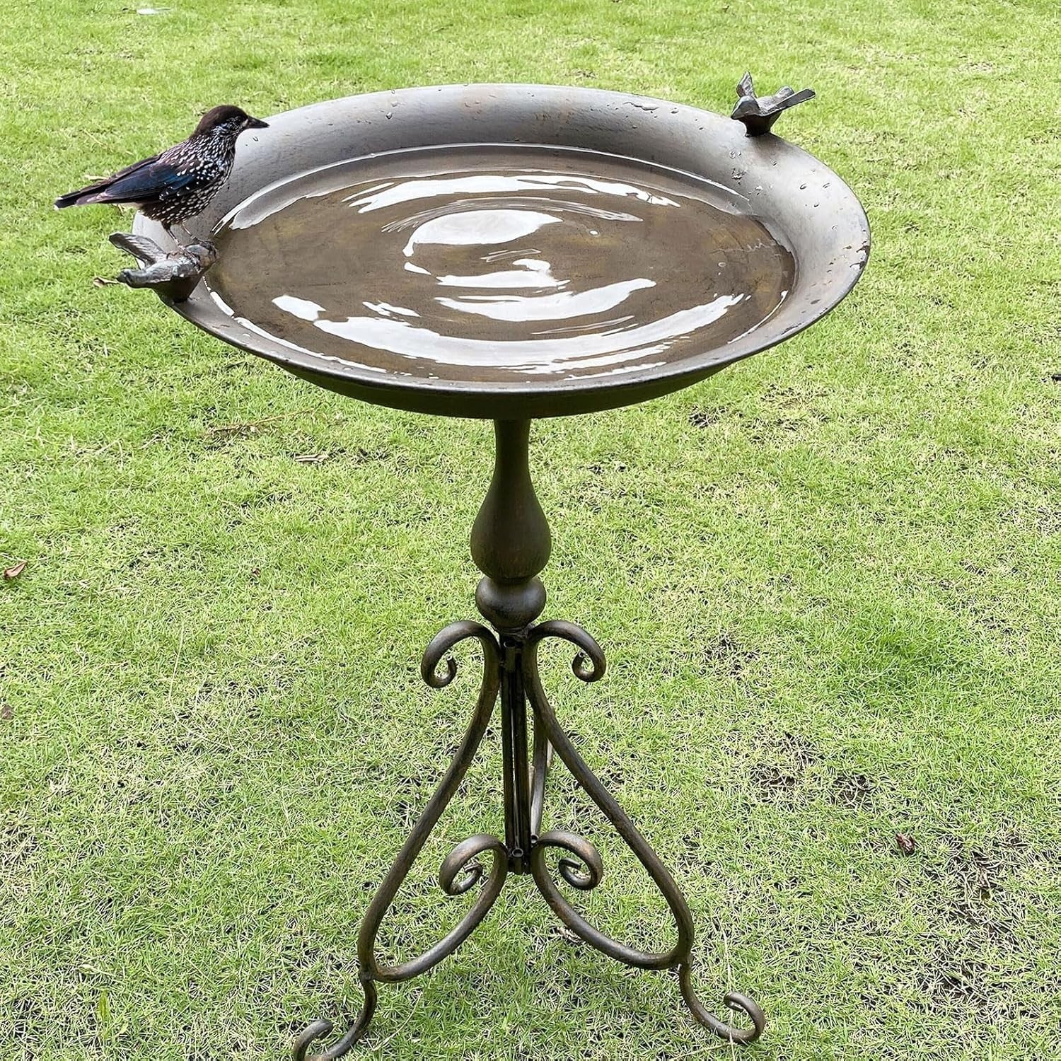 Large Metal Bird Bath 28” Stand | Weatherproof Garden Bird Feeder Decor