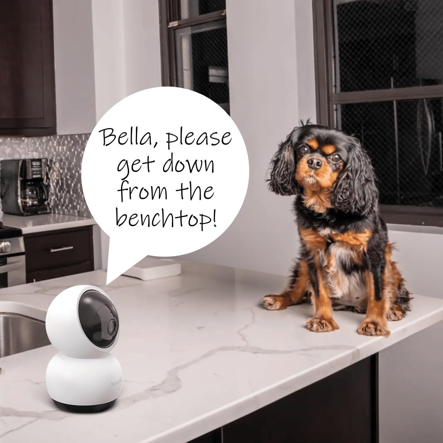 2K PTZ WiFi Security Camera Auto Tracking Night Vision Two Way Audio