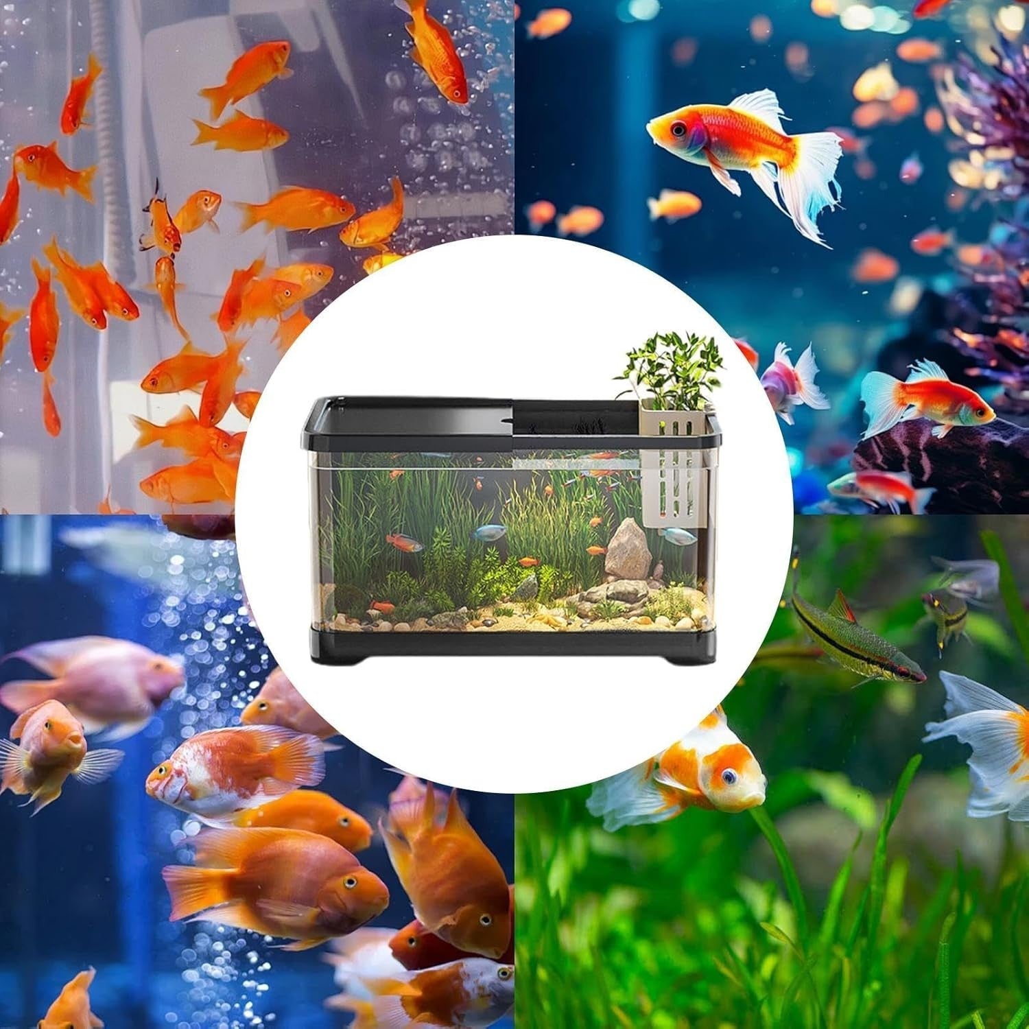 Small Fish Tank Starter Kit | Decorative Saltwater & Freshwater Aquarium