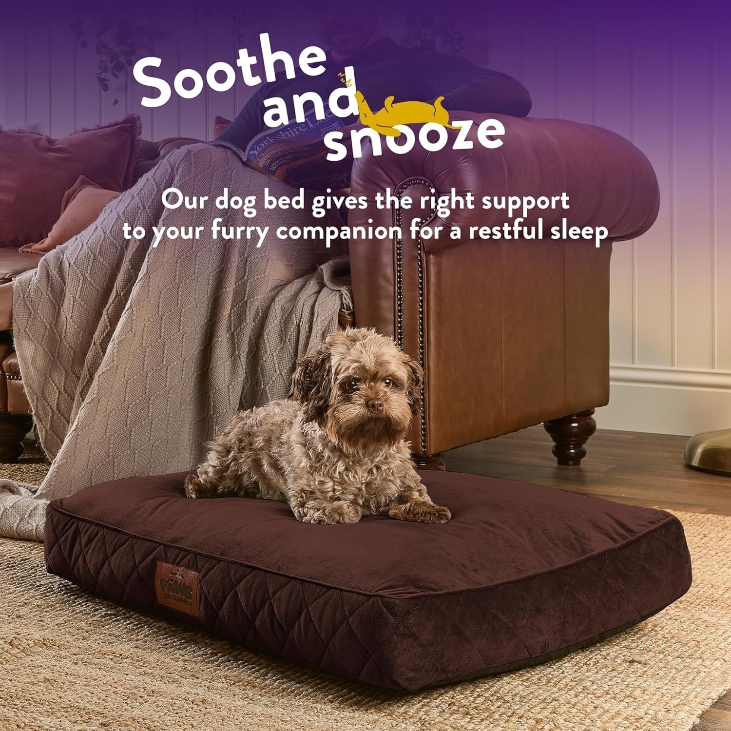 Medium Luxury Orthopedic Dog Bed 60x80cm Washable Non Slip