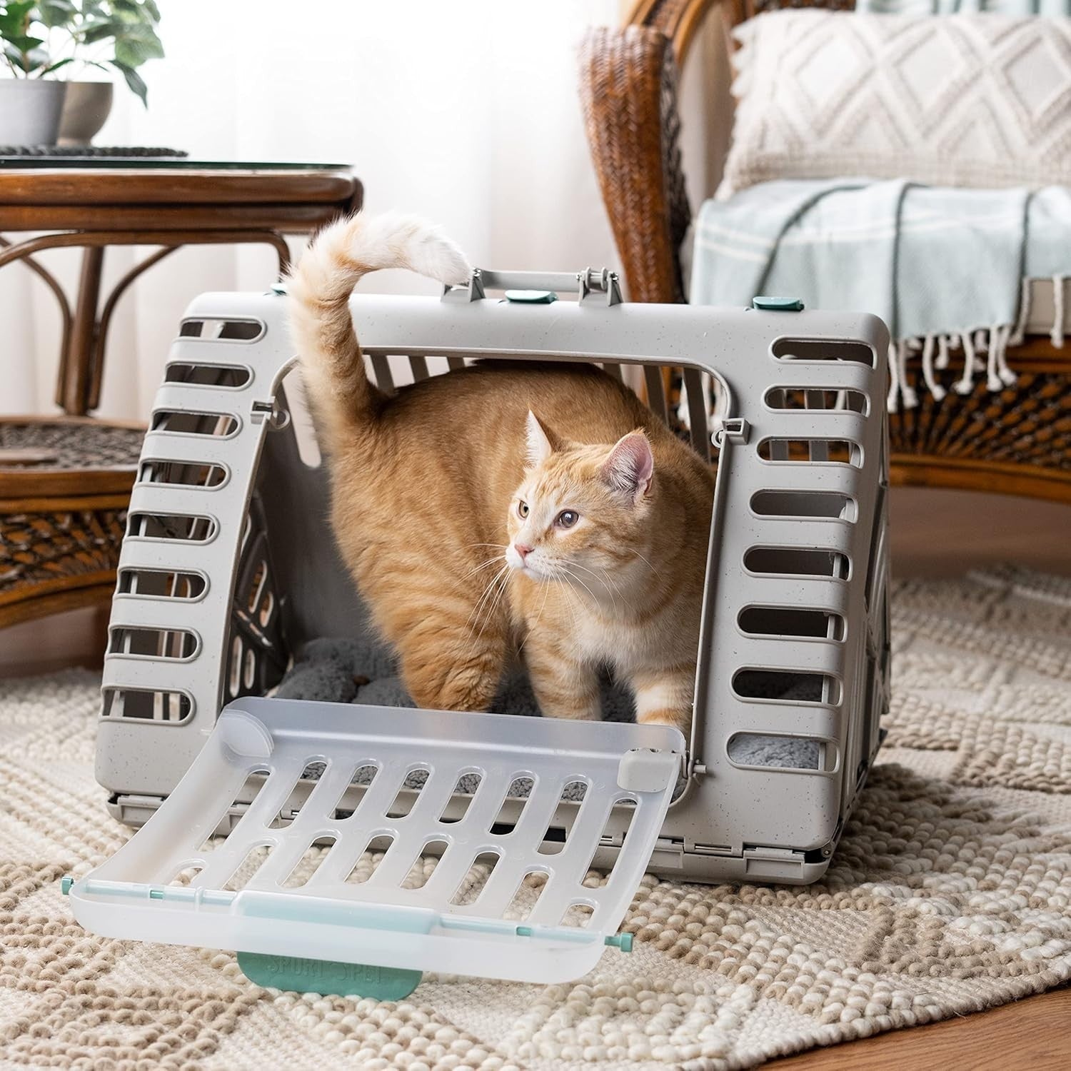 XL Collapsible Cat Carrier 58x47x43cm Foldable Crate + Washable Bed Travel
