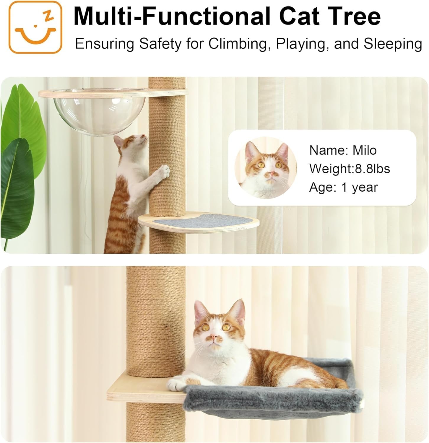 Floor to Ceiling Cat Tree Tower 6 Level Adjustable Scratching Post Capsule Bed