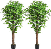 Tall 6.2ft Artificial Ficus Trees with Curved Trunks Set of 2 Indoor Home Decor