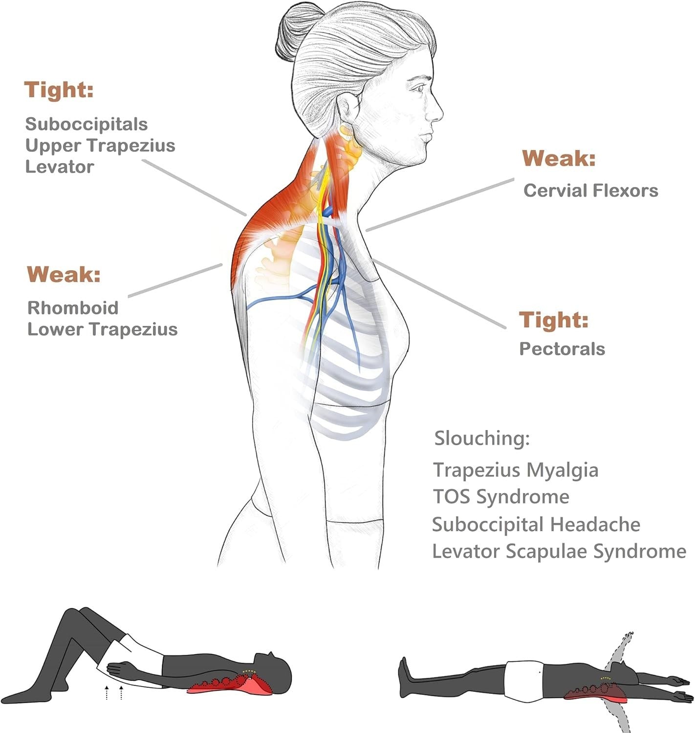 Trigger Point Massager for Neck & Shoulder Pain Relief, Myofascial Release