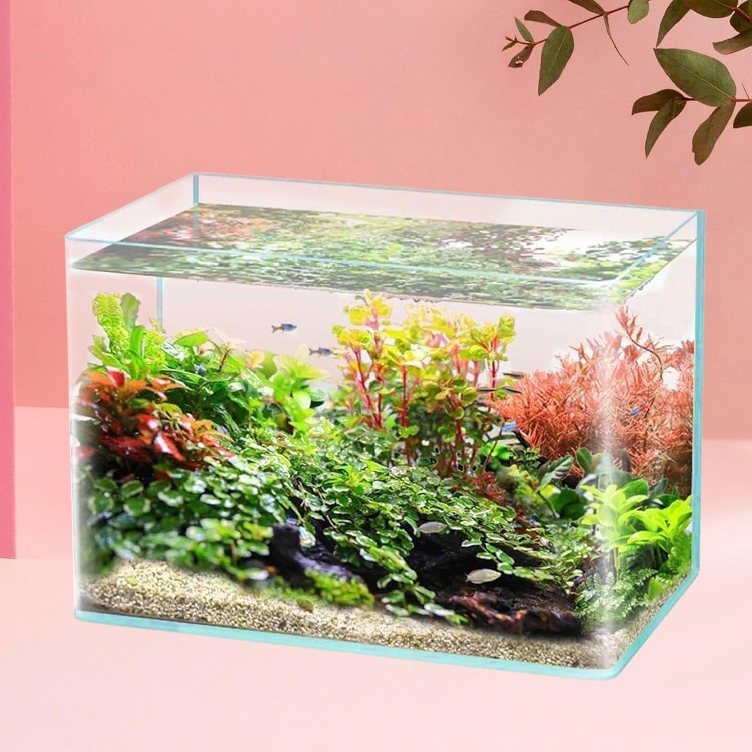 Clear Glass Fish Tank Aquarium 35x21x23cm Desktop Decoration