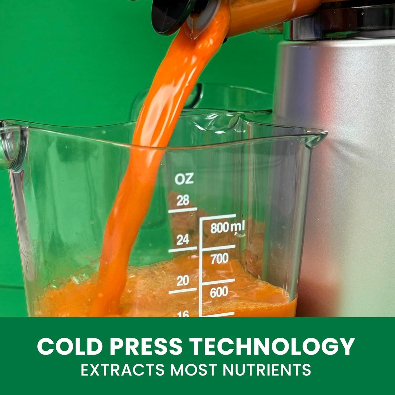 Cold Press Slow Masticating Juicer Vertical 65 RPM Compact Silver