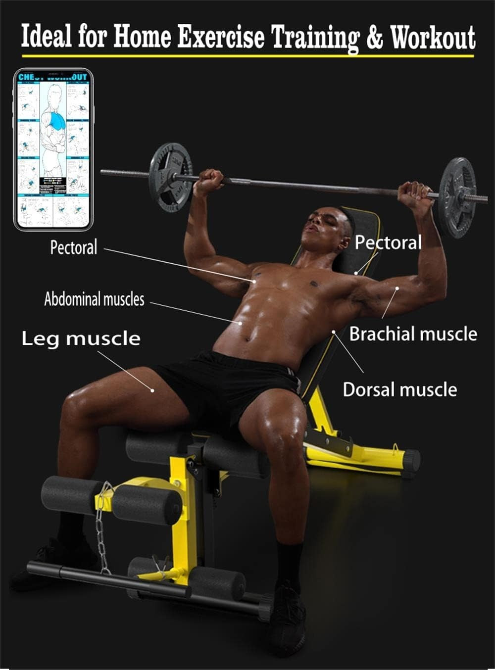 Adjustable Weight Bench with Leg Extension 330lb Home Gym Trainer