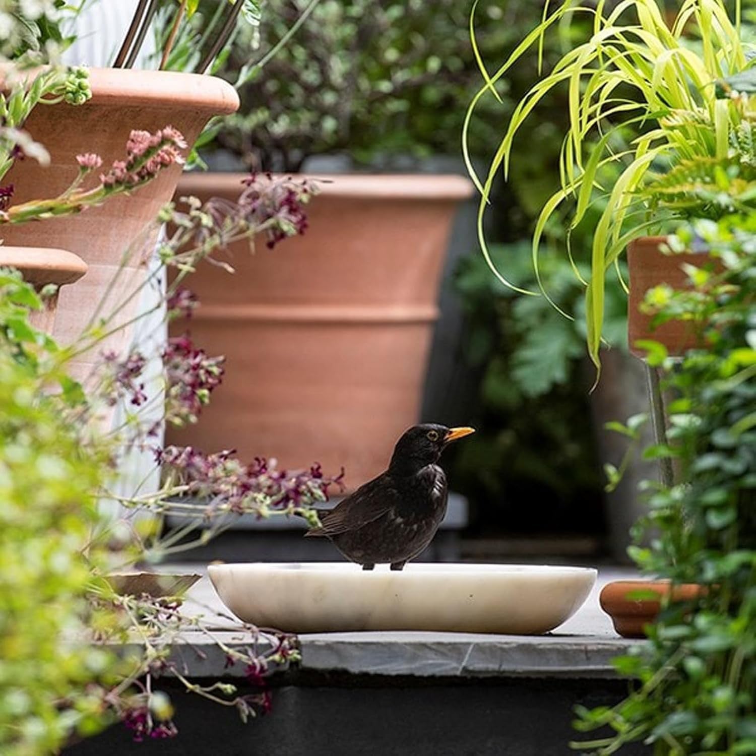 30cm White Marble Bird Bath Bowl – Garden Wildlife Oasis for Birds & Bees