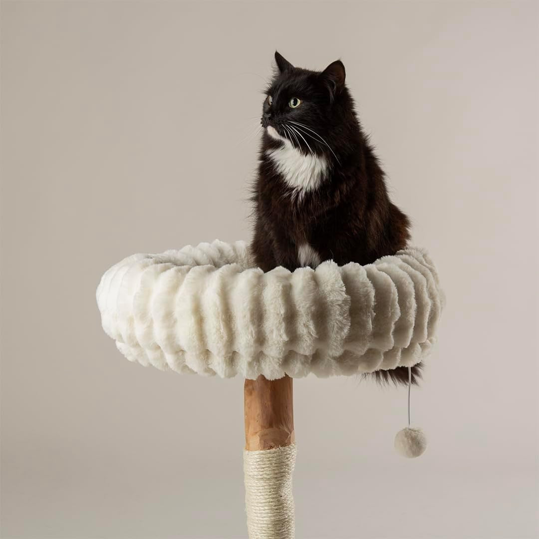 Luxury Cat Scratching Tree with Plush Bed Natural Wood Sisal Post Indoor
