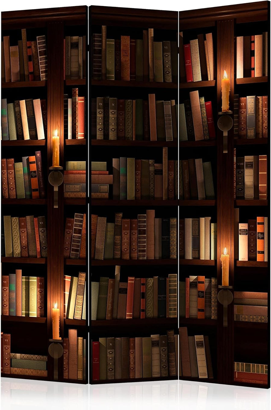 Library Print Folding Room Divider – Double-Sided Acoustic Foam Privacy Screen