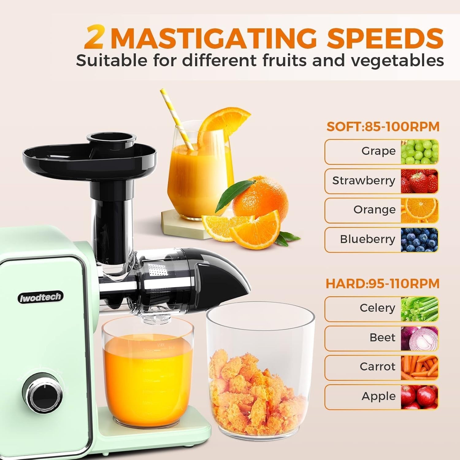 Cold Press Juicer Slow Masticating 2 Speed Quiet Easy Clean BPA Free