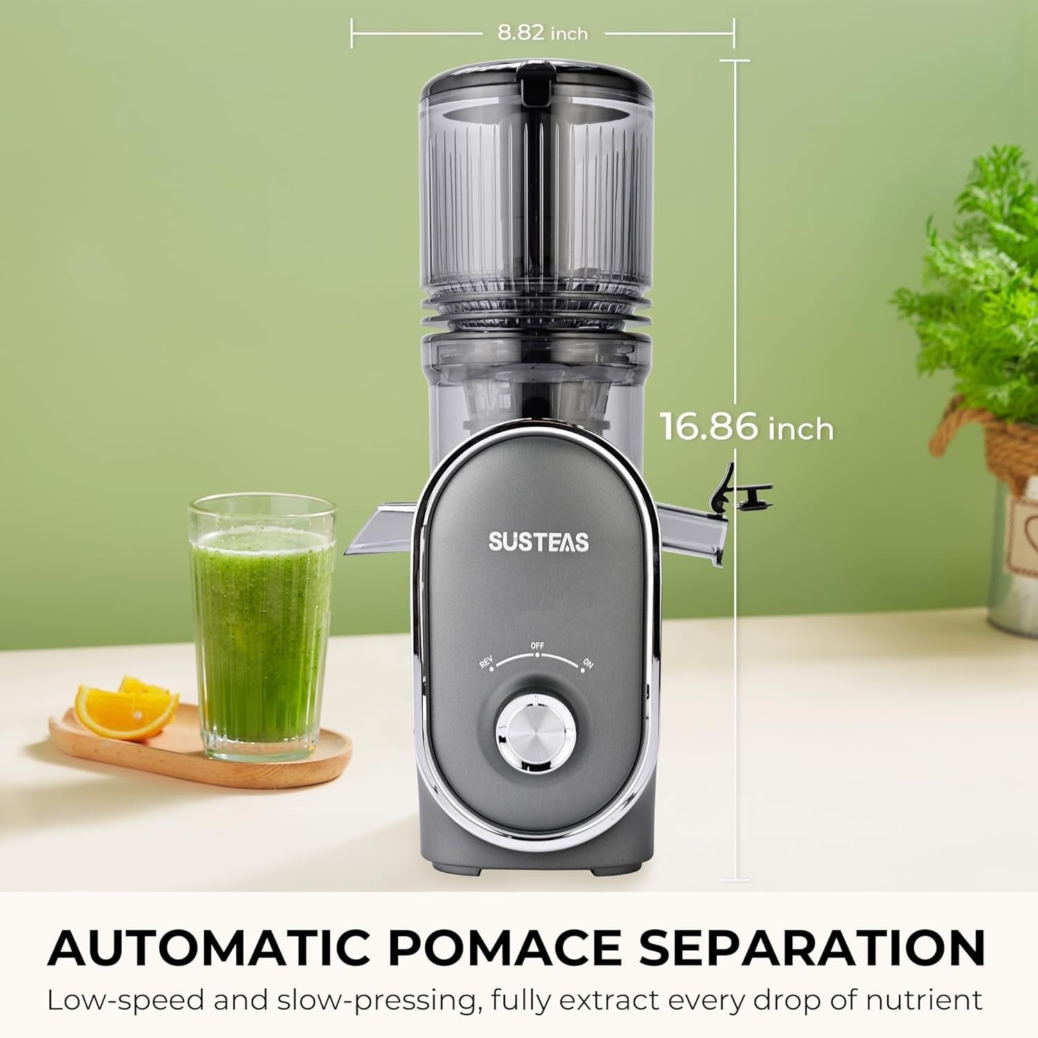 Slow Cold Press Juicer 300W 5.3in Feed Chute Whole Fruit High Yield