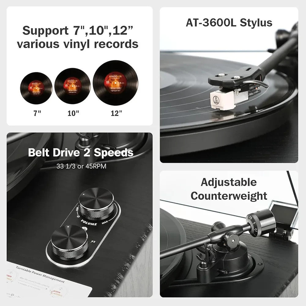 All-in-One Vinyl Record Player HiFi Turntable with Built-in Speakers 2-Speed