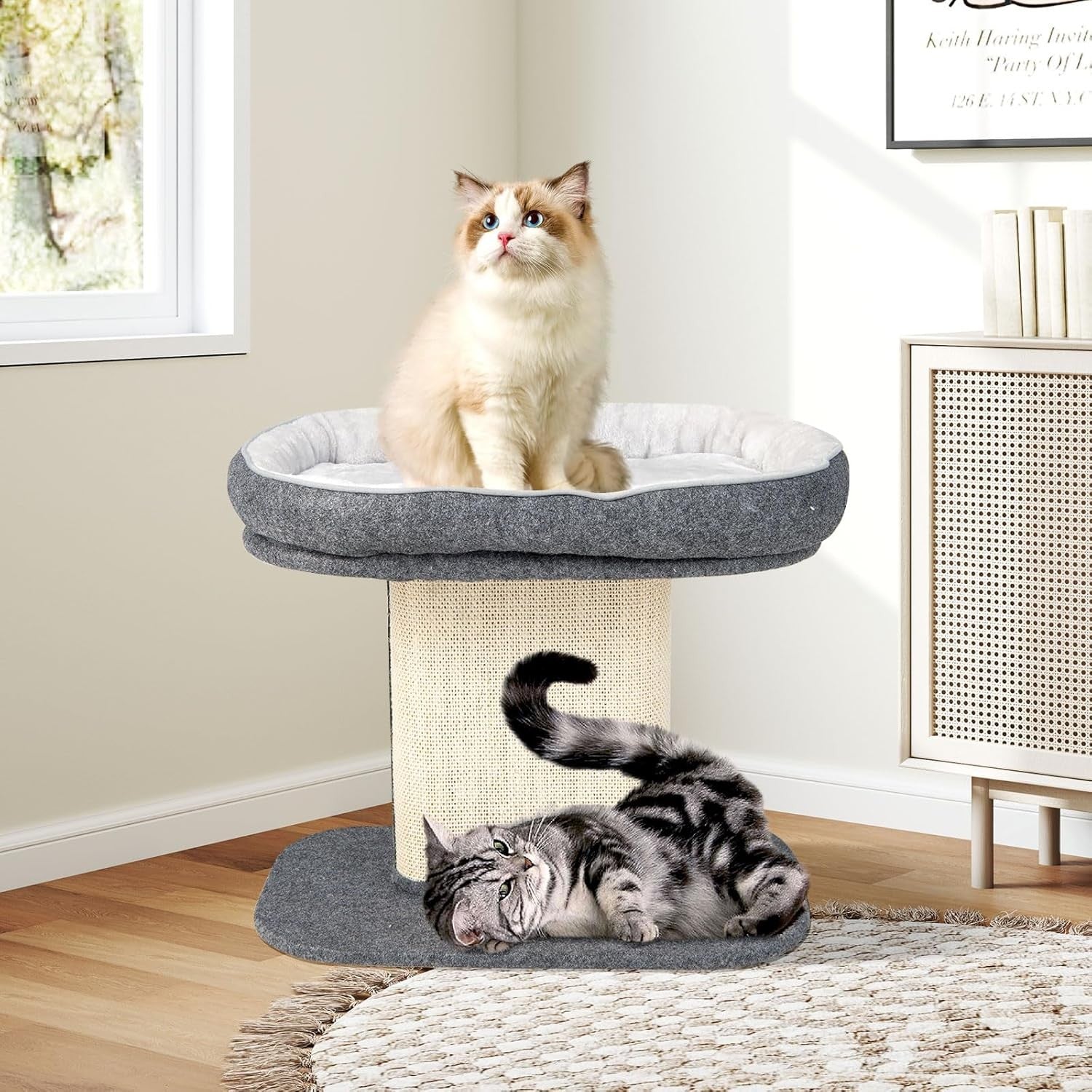Cat Tree for Kittens Plush Perch Scratching Post Indoor Activity Tower