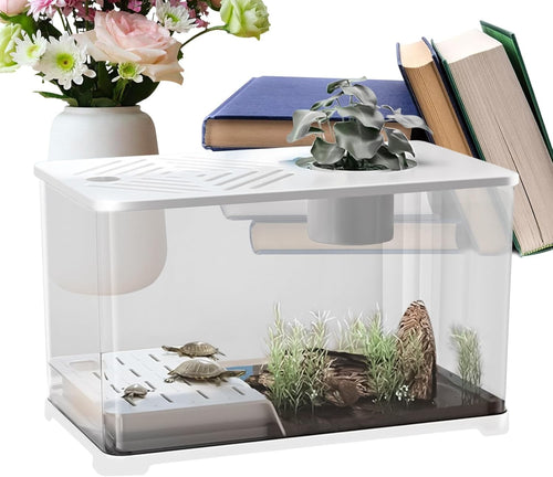 10G Fish Tank Kit | Large Aquarium w/ Turtle Resting Area & Plants