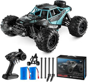 Fast 1:16 RC Truck 4WD 22MPH Off-Road Car with 2 Batteries for Boys 14+